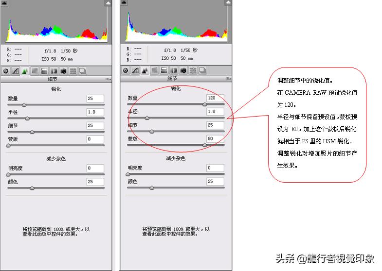 cameraraw曲线详解教程,鹏凰视界cameraraw系列教程