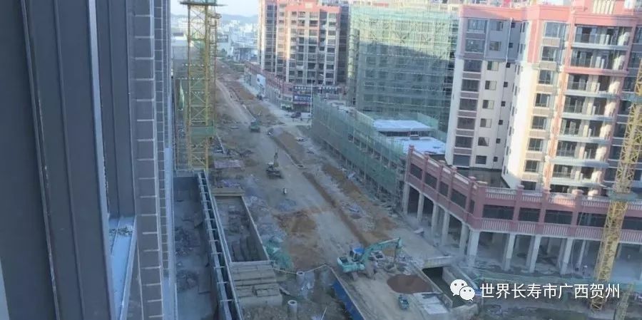 再过一个月这个地方美到颠覆想象,新市政公园