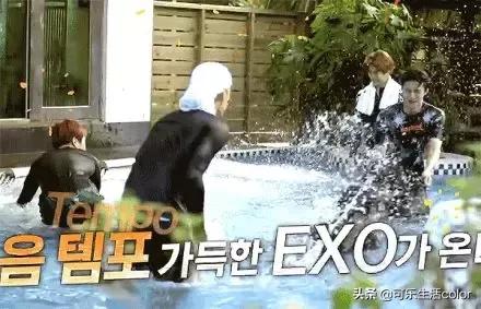 exo团综最新消息,exo综艺爬梯子世界旅行3