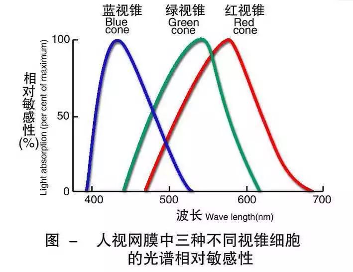 关于灰绿跟粉白的鞋子,到底是灰绿还是粉白的鞋