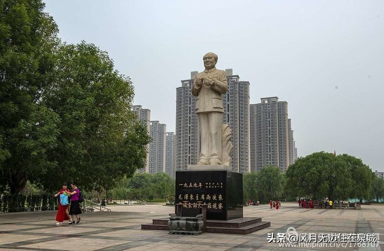 济南的法国梧桐,济南梧桐树美景