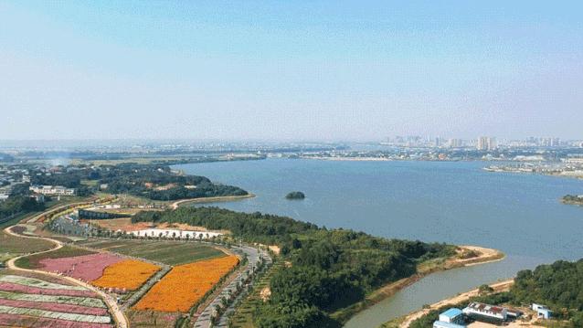 秋天的沙湖美不胜收,洋沙湖旅游