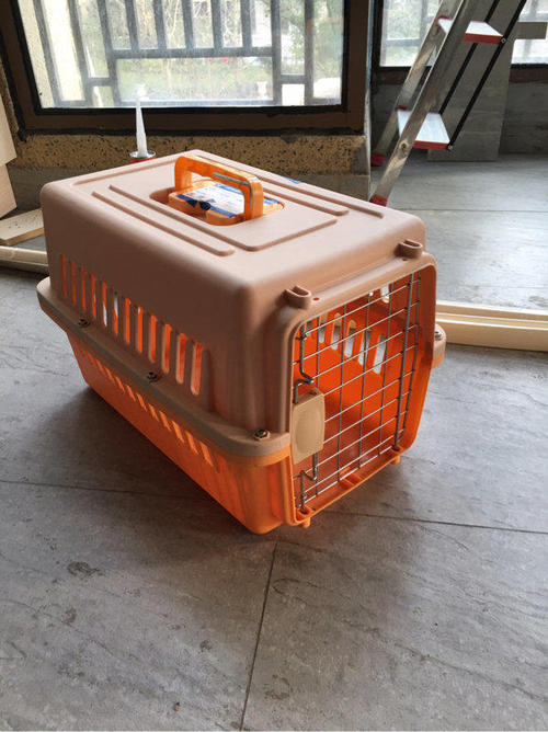 猫咪第一次用猫包注意什么,猫咪自制包