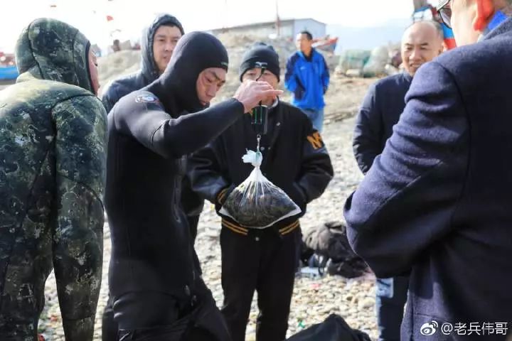 蓝海的诱惑——来自一个叫柏岚子的地方……
