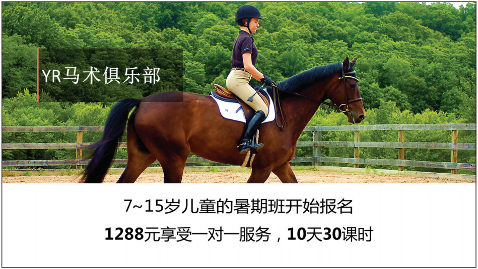 ppt领导发言照片排版,ppt单页文字多怎么排版