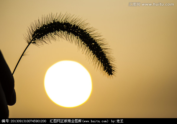 教师,最美的语言应该怎样说?