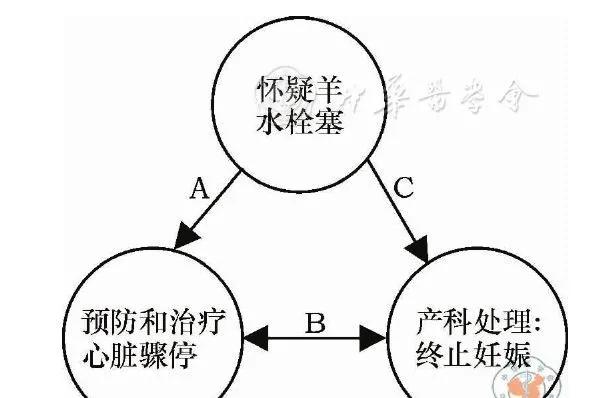 羊水栓塞诊疗规范2018,羊水栓塞的诊断及处理课件