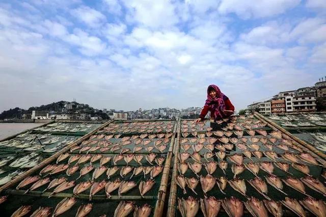 浙江宁波小众景点,浙江省宁波市黄金海岸