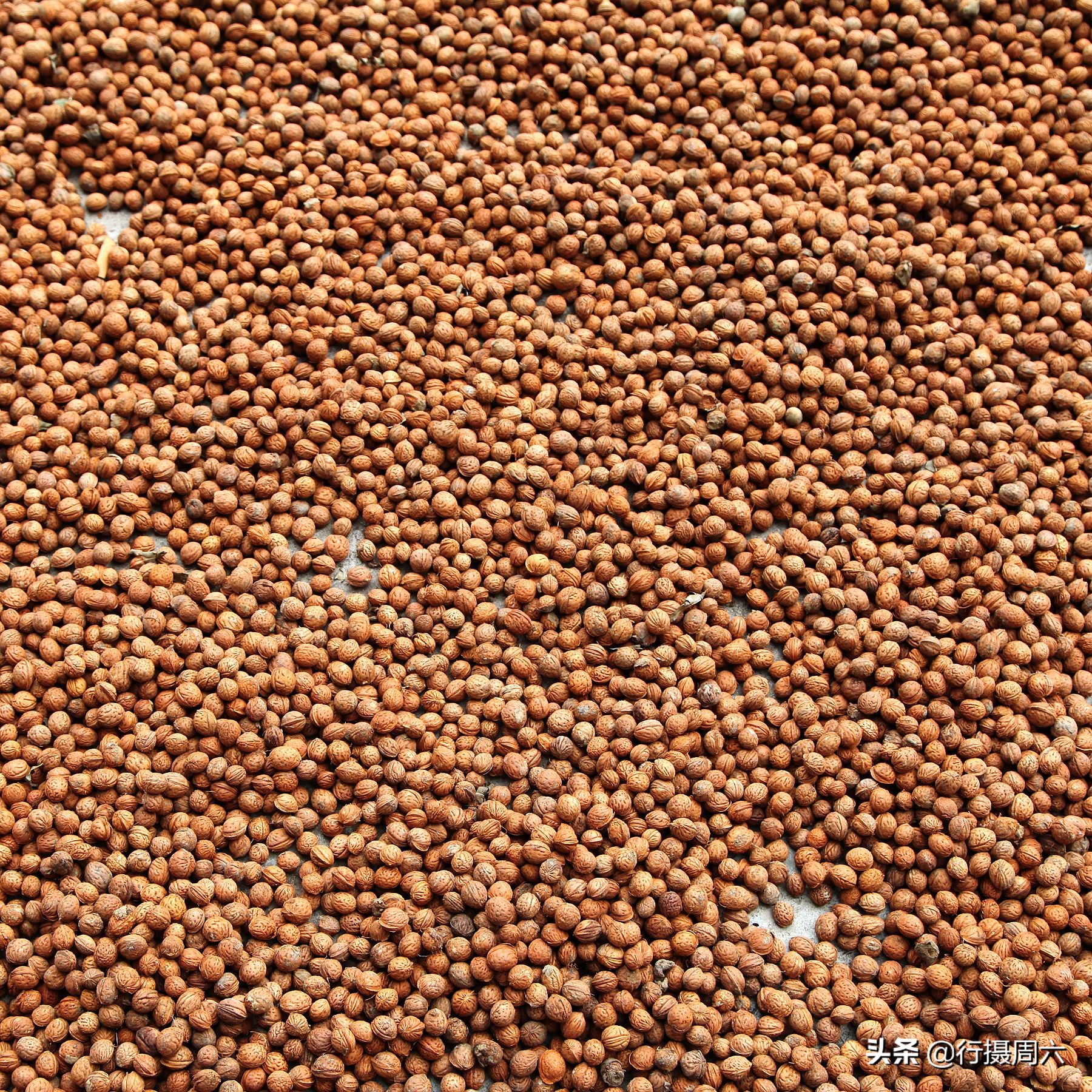 野桃核拖鞋怎么做,怎样做桃核拖鞋