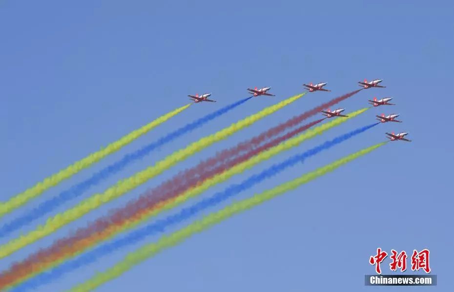 “东风快递”双十一送狗粮空军:不收!生日“我最大”