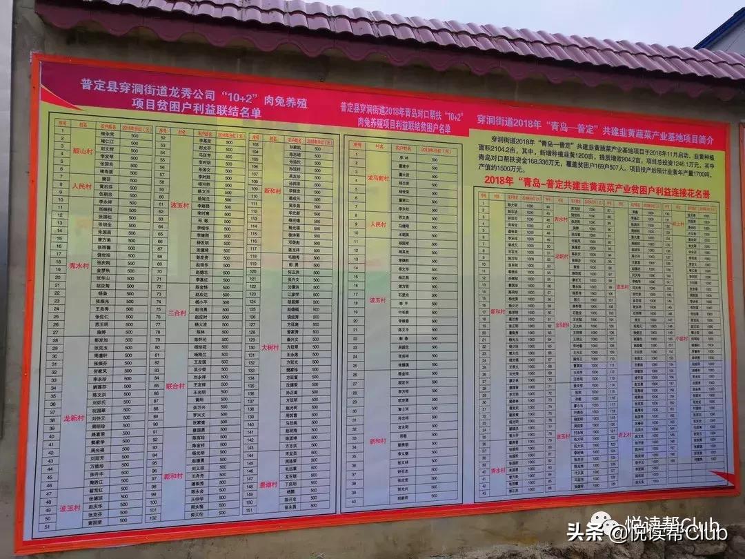 连成都人都赞不绝口的兔头空降安顺!这些兔兔还是安顺人自家养的