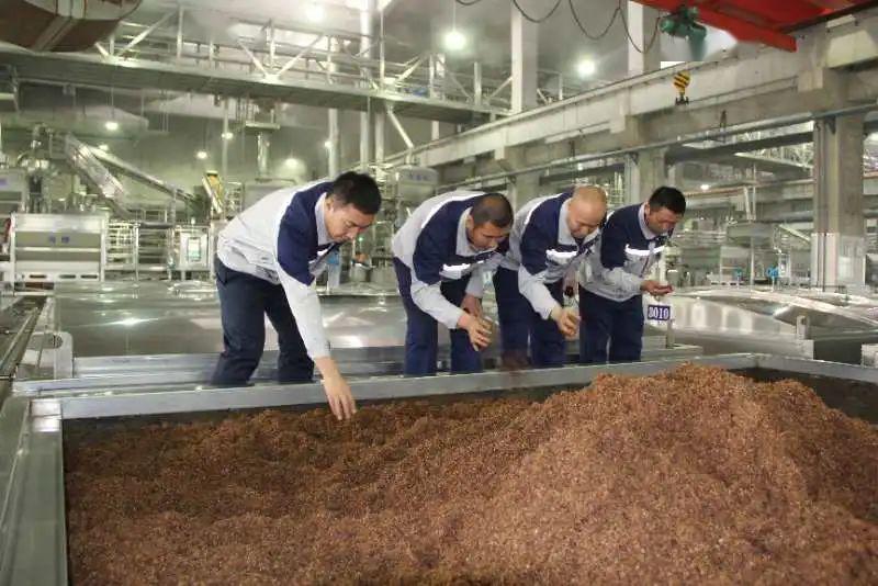 黑龙江老村长酒业有限公司董事长,黑龙江老村长酒业公司年销售额