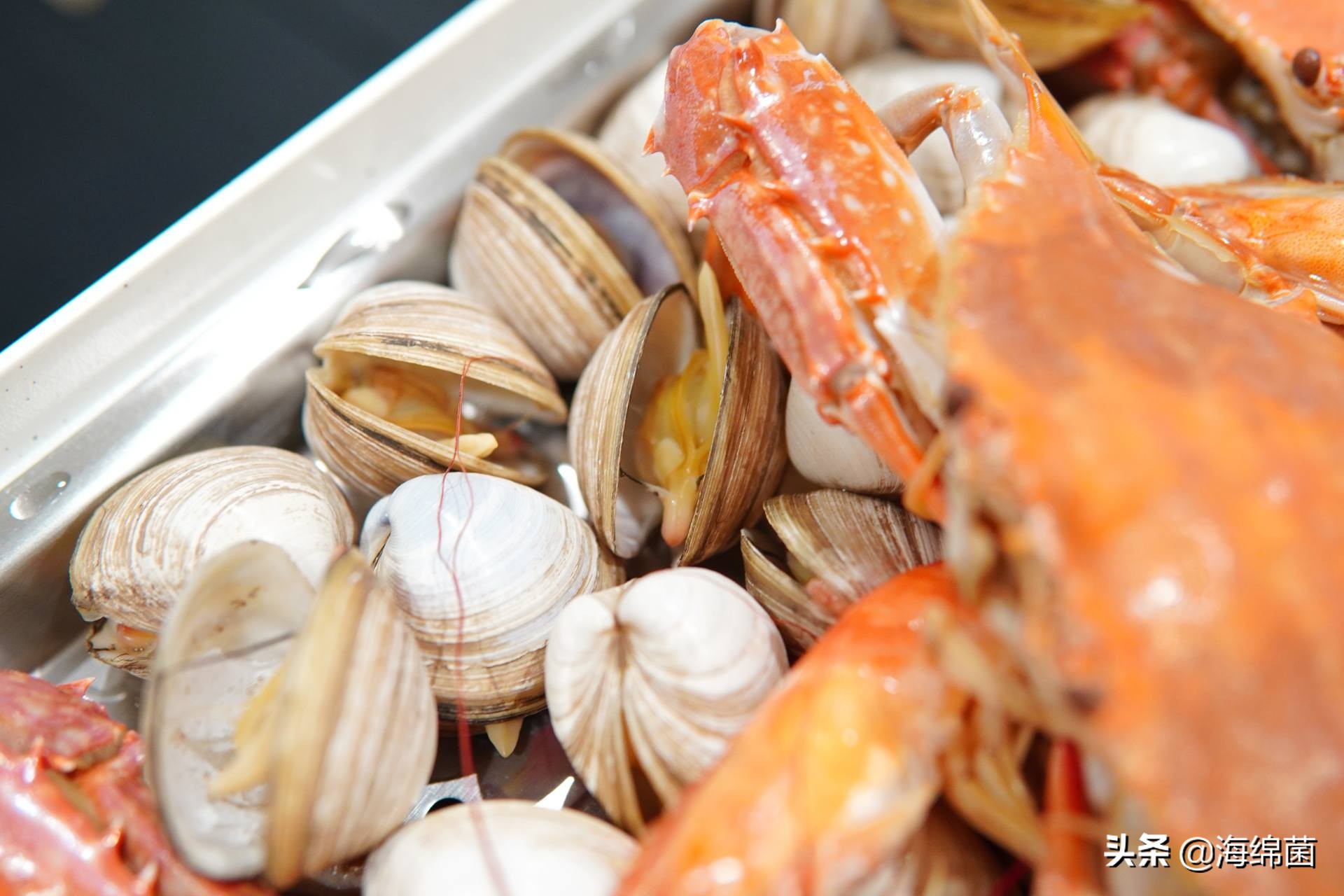 博拉利多功能蒸汽料理锅测评,博拉利蒸汽锅介绍