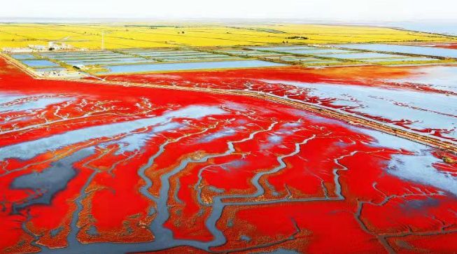 读盘锦古城子,读盘锦日报