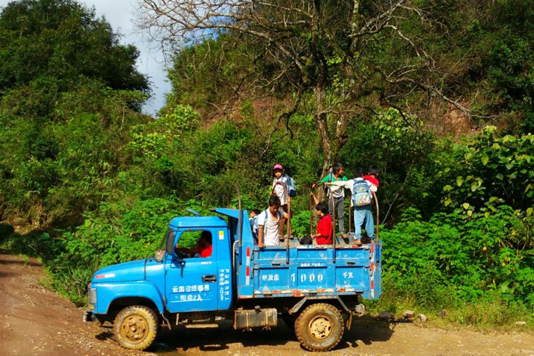 吃毒菇、睡蛇窝,只为挖一堆草,这个重庆博士要做当代神农