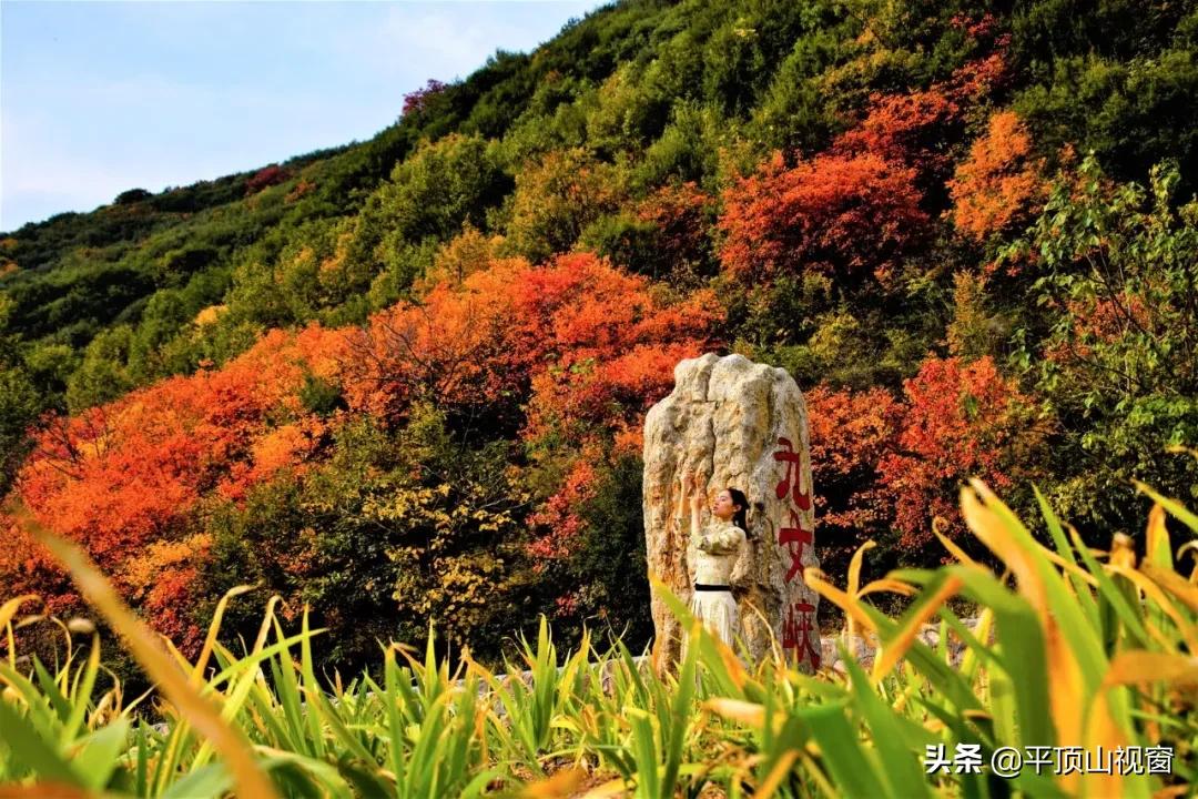 平顶山九峰山一日游攻略,平顶山汝州九峰山风景区