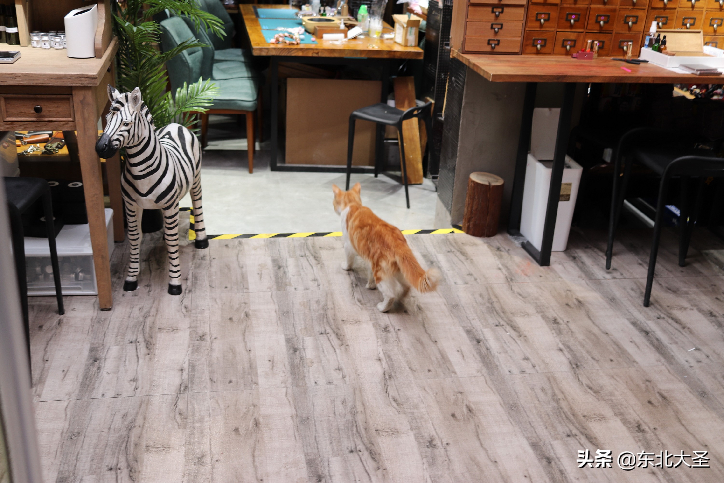 苏州杭州上海乌镇六日游含迪士尼,西湖乌镇南浔西塘三日游