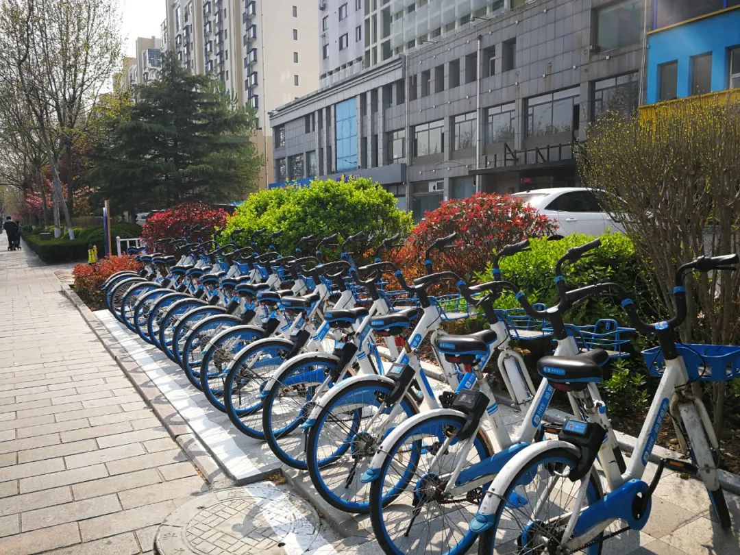 高新区执法局：哈啰单车全域管理系统即日启用