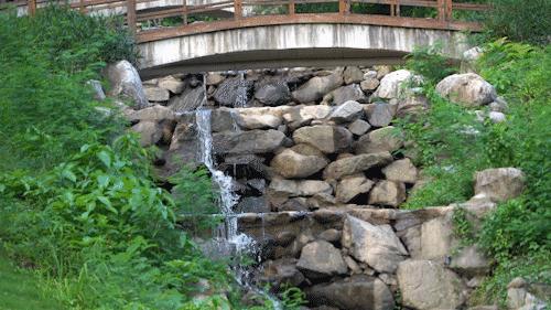 深圳海边最好的公园,深圳有几个靠海的公园