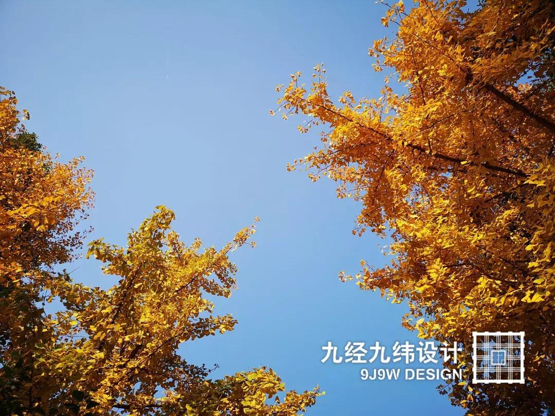 杭州你不知道的景点,揭秘你不知道的杭州