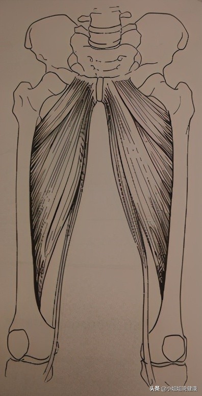 盆底锻炼除了凯格尔还有哪些？怎么做？有何用？（三）