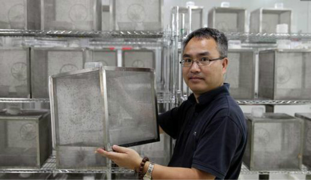 广州蚊子工厂盈利吗,广州工厂专门生产蚊子