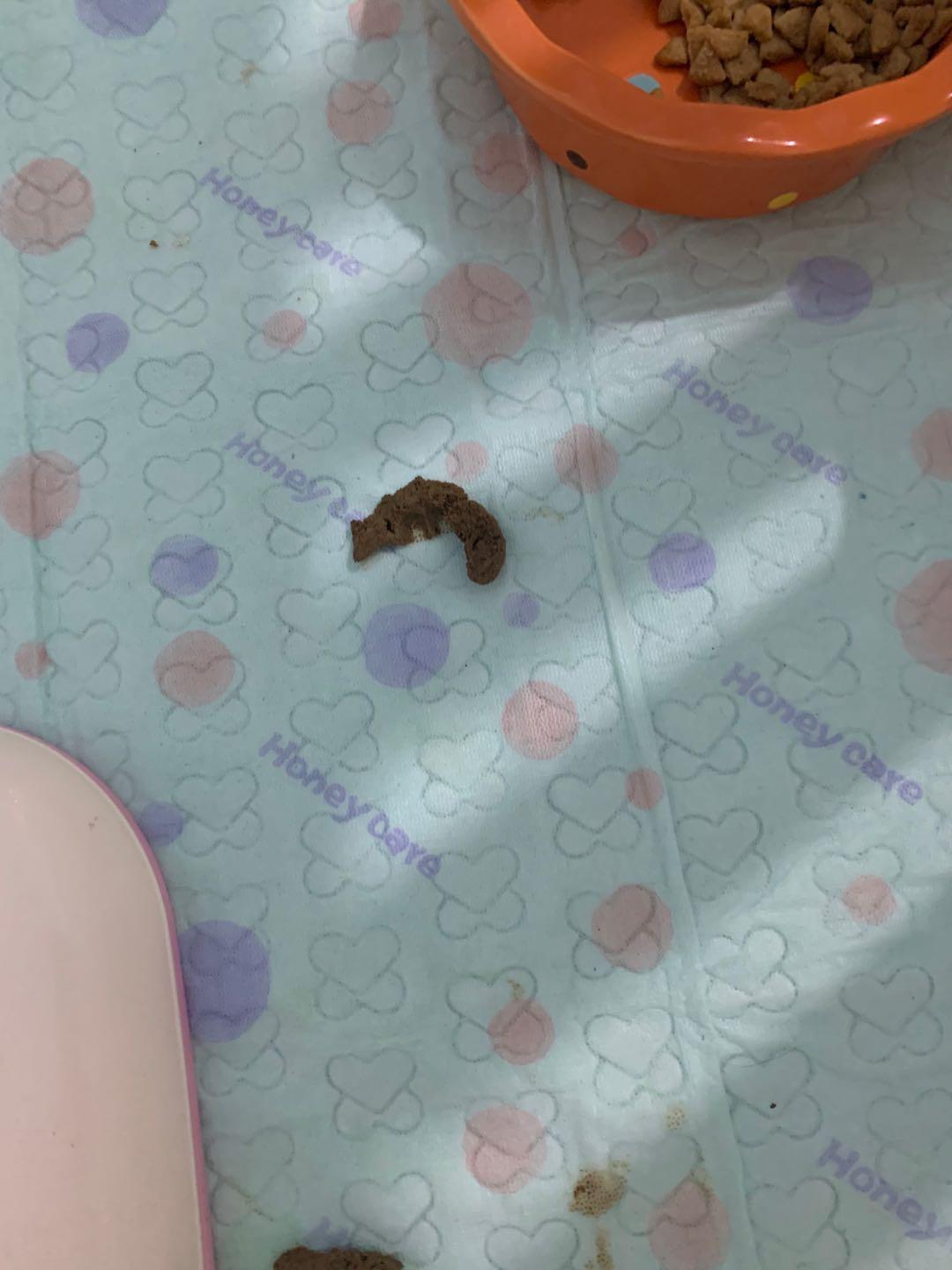 有苦难言的肛门问题，作为家长你了解吗