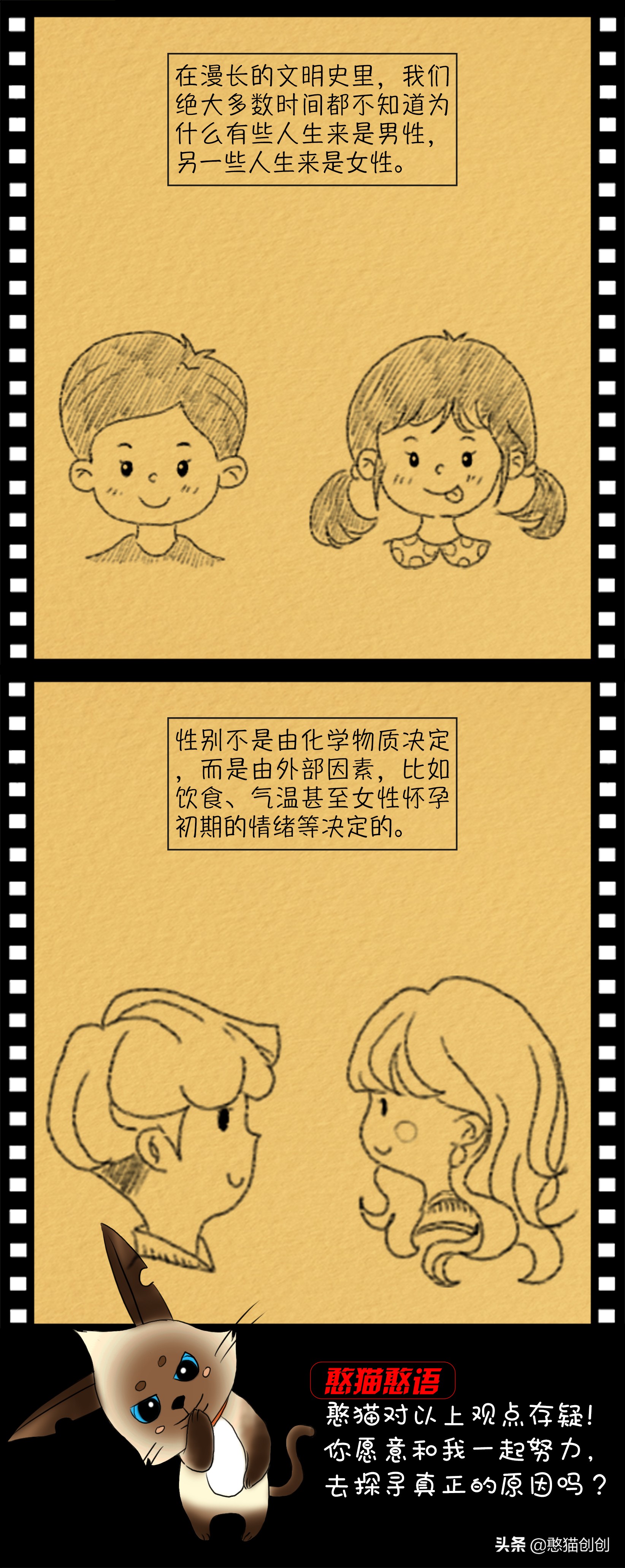 憨猫视频大全集,憨猫原版全部视频