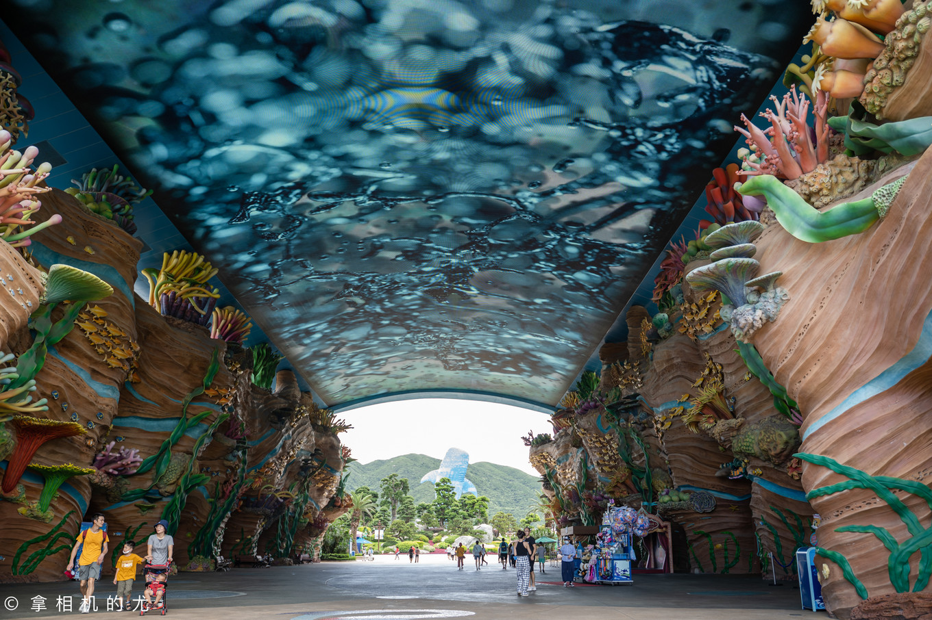 珠海横琴长隆海洋王国游玩全攻略,珠海长隆海洋王国跟香港海洋公园