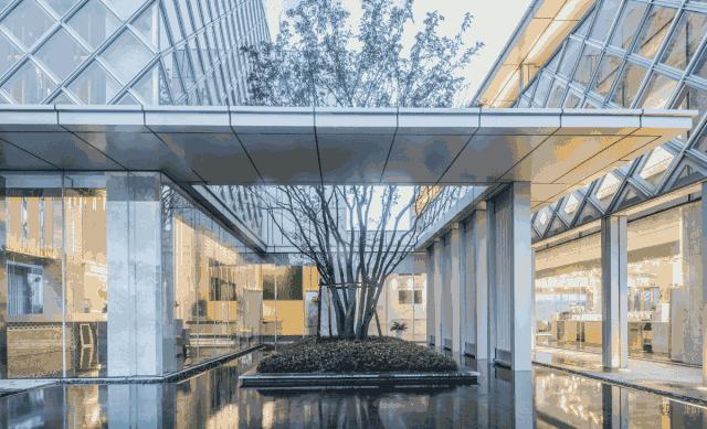 盘点郑州这些C位出道的热盘