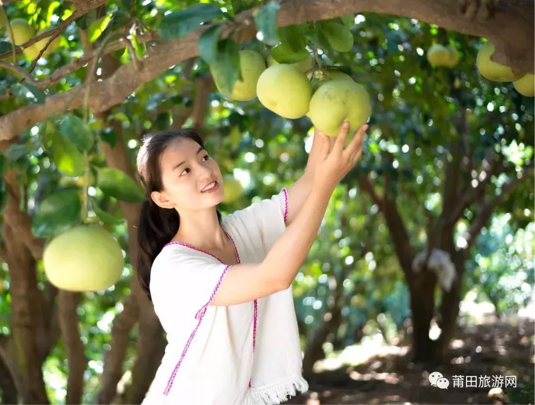 福建莆田哪个季节最美,福建莆田有多美