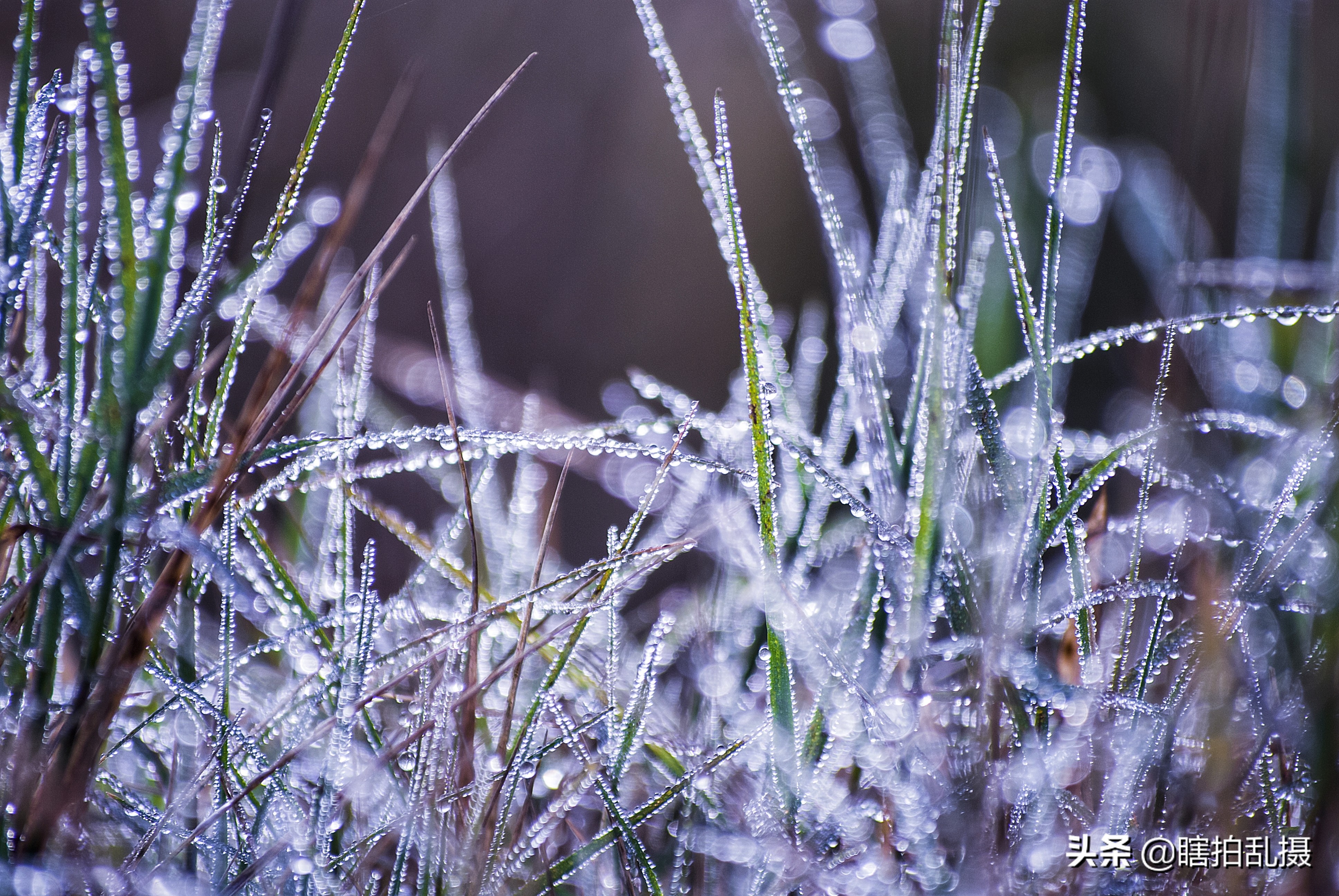 我的摄影器材大集合,最新入门单反相机推荐