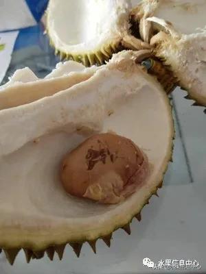 在网上买水果遇到假货怎么办,网上购买水果会被坑吗