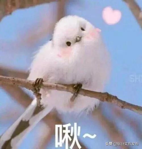 鼠年新春祝福贺词,鼠年对联100幅欣赏