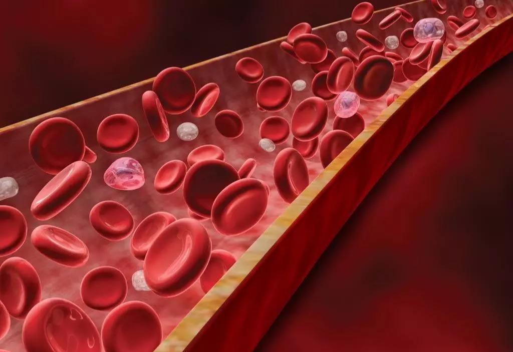 癫痫发作后后脑勺疼是枕部癫痫吗,颞叶癫痫发病前的症状