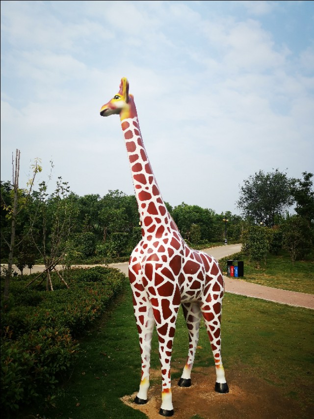 周山森林体育公园,周山公园都有什么运动