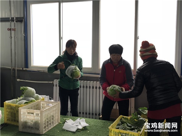 太白：农闲时节闲不住喜笑颜开致富忙