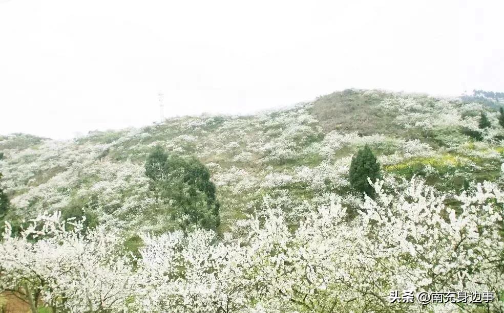 南充著名小镇,南充最美小镇