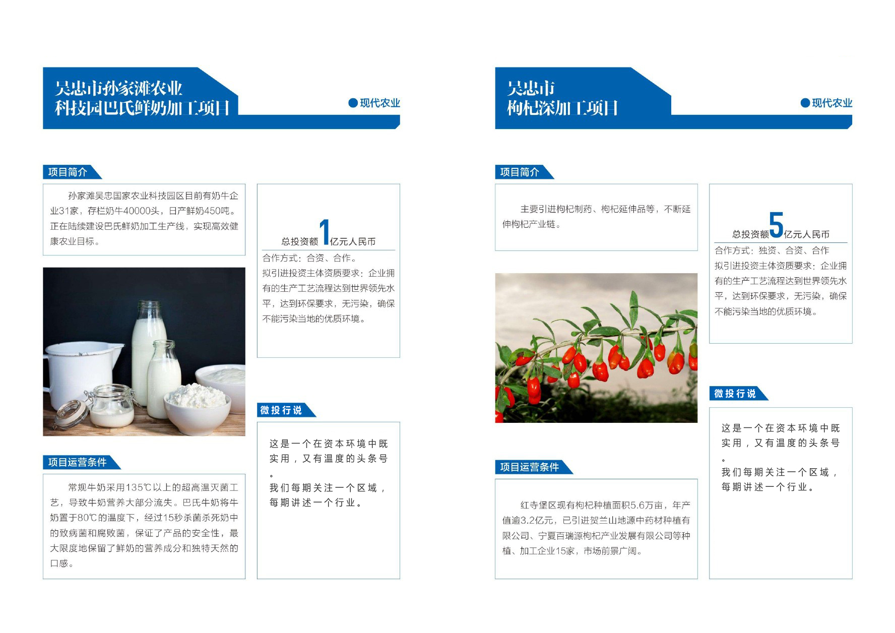 优选宁夏23个农业投资项目丨墨瑞鳕鱼、种子、巴士奶、牡丹、冷蔬