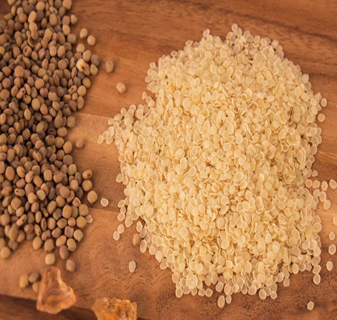 皂荚树现在还有吗,皂荚树经历辉煌又被嫌弃