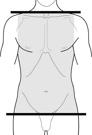 普拉提动力链,普拉提动力动作