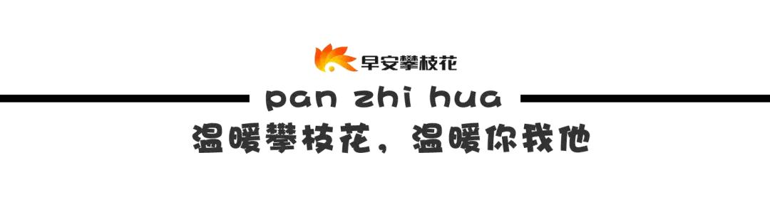 收藏！吐血整理《2019攀枝花大全》，看完秒变“地道”攀枝花人~