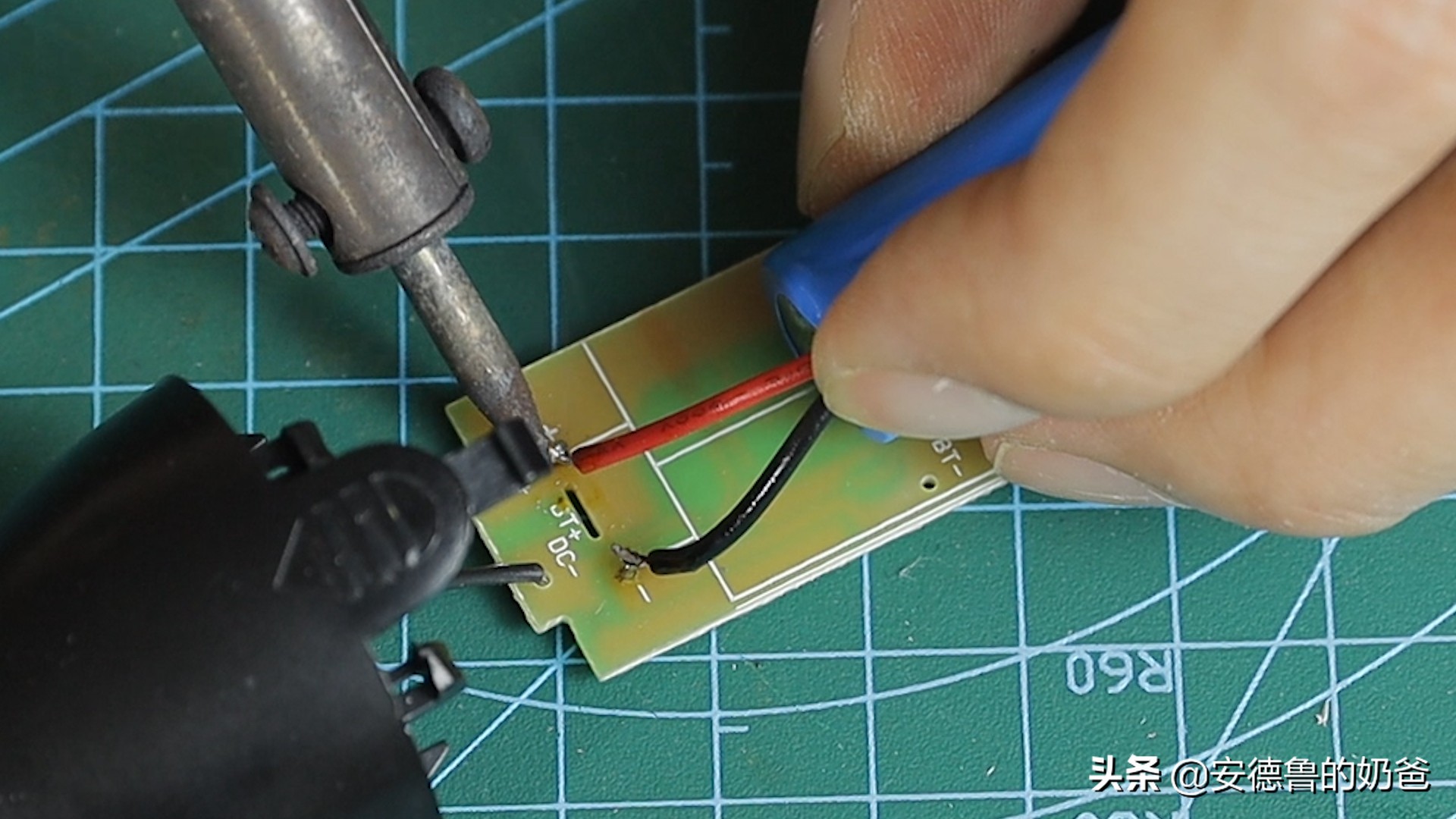 春日vlog完整版,春日vlog竖版