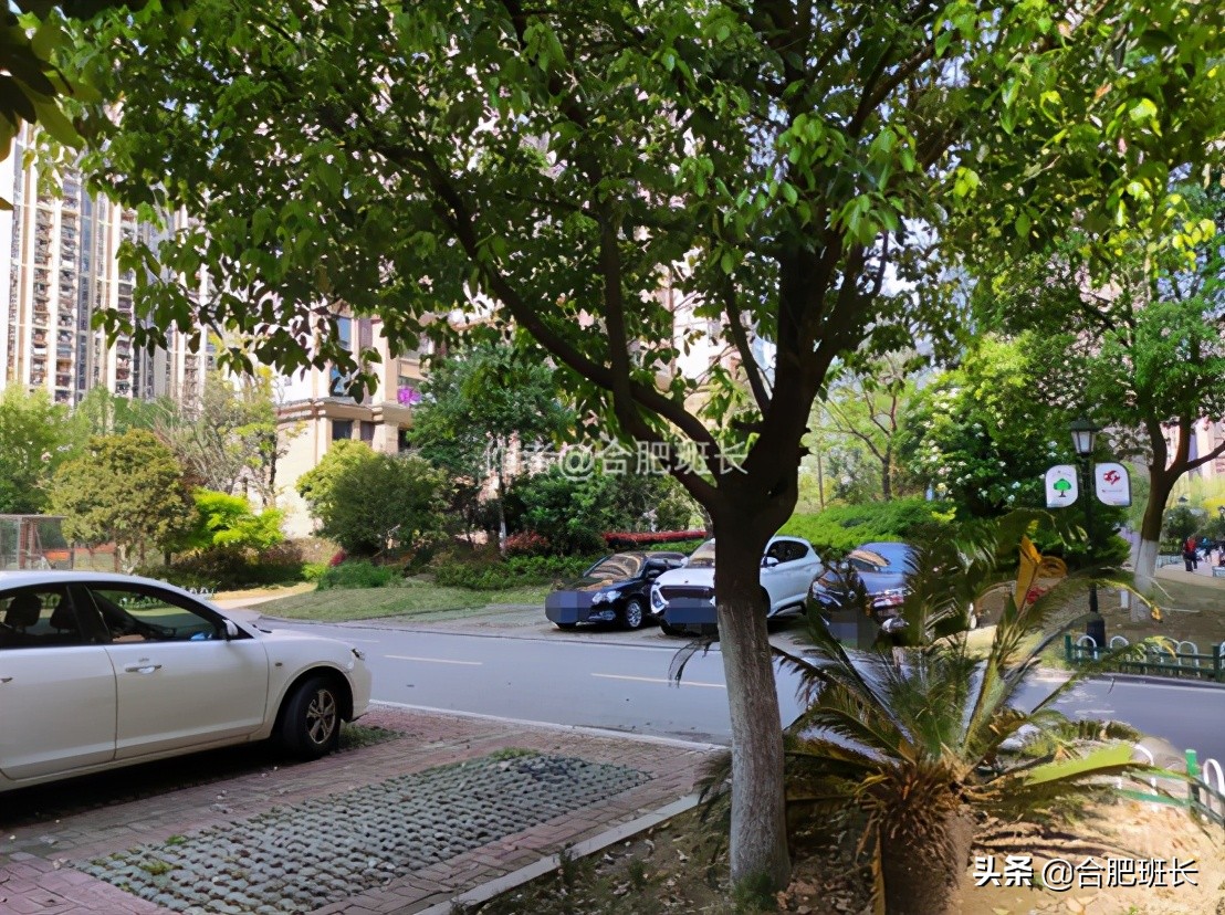 合肥滨湖新区四十六中附近,滨湖四十六中南校区有万科楼盘吗