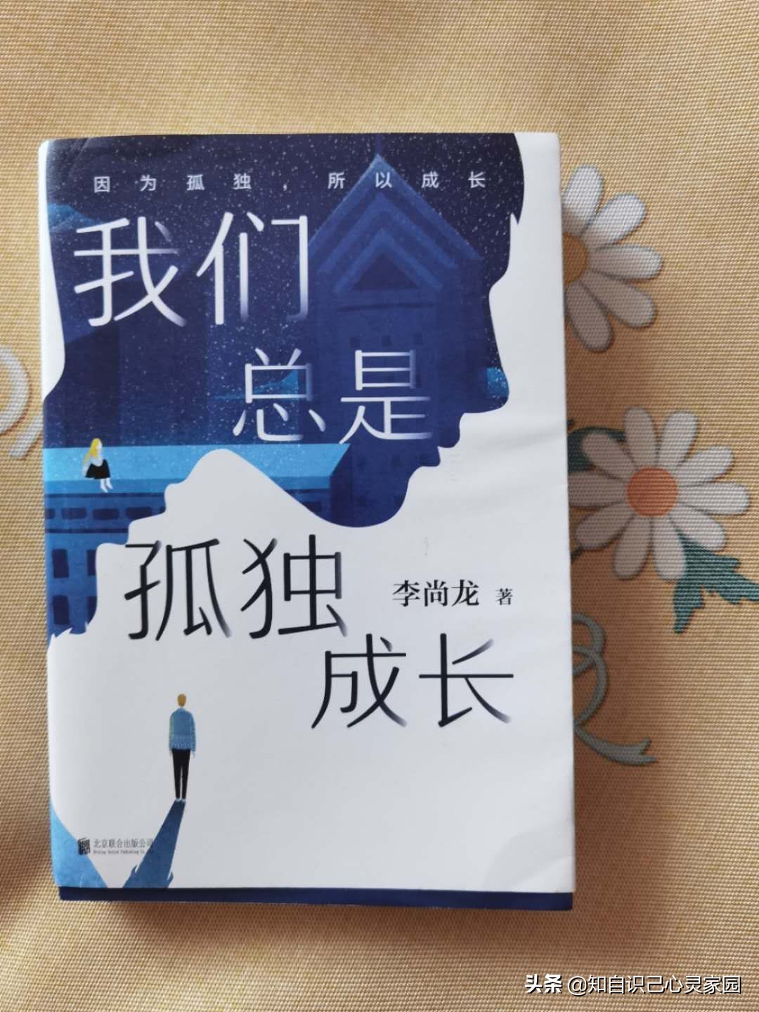 我们总是孤独成长主要内容,我们总是孤独成长李尚龙读后感