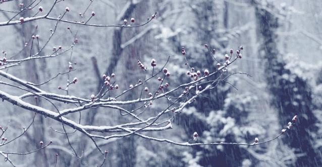 羽绒服脏了教你一招立刻变新,羽绒服刚买来皱皱巴巴快速处理