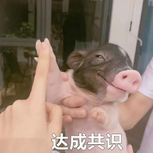 如何不抵触交流,怎么交流显得不蠢