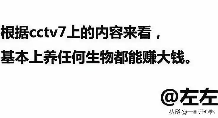 致富经节目现在怎么样了,致富经里的节目真实吗