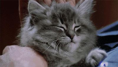 90斤的脸130斤的身材谁懂啊,90斤身材胖脸的女生