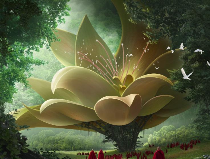 靠谱的素材收集工具,大神们都在用什么软件找素材